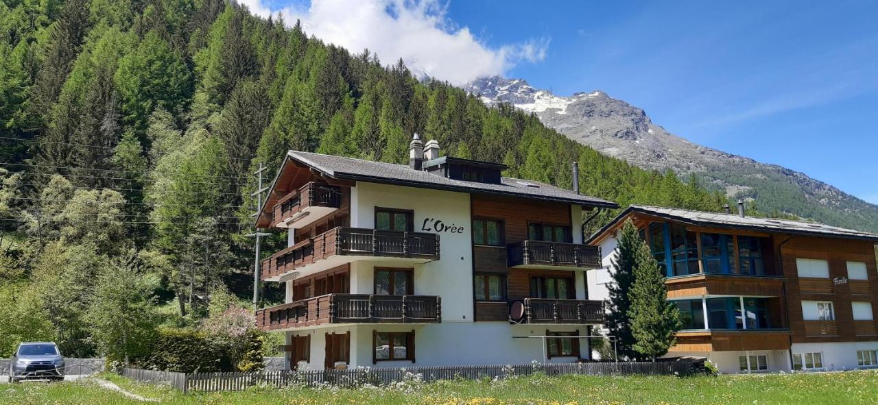 Free Cable Car & Bus In The Summer Haus L'Oree ซาส-กรุนด์ ภายนอก รูปภาพ